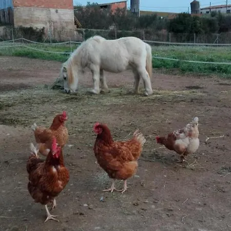 Vendégház Mas Guineu Reus